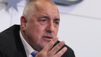 Борисов поиска отсрочка от седмица до решението за субсидиите