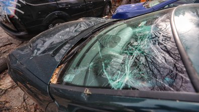 Жертва на лошото време: Мъж загина на място в автомобила си, премазан от дърво