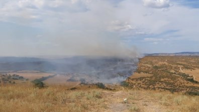 Потушиха пожара между свиленградските села Студена и Дервишка 