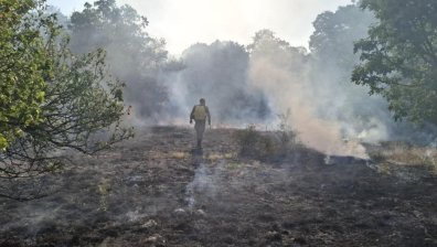 България търси помощ от ЕС за гасене по въздух на пожарите