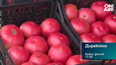 В предаването "Директно" днес от 17:50 часа ще видите