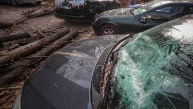 Щети в София от силния вятър, има сигнали за паднали дървета