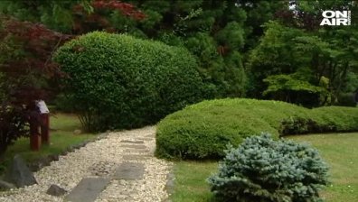Оазис в шумния град: Японска градина отвори врати в столичния зоопарк