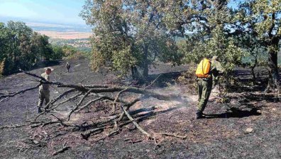 Военнослужещи се борят с огнената стихия у нас по въздух и земя