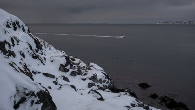 Германия, Швеция, Норвегия, Франция и Нидерландия засилват защитата на Гренландия