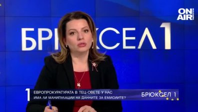 Зам.-министър Колева: Очакваме резултатите от проверките на ЕП, ще стане ясно дали има манипулация