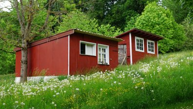Малките къщички набират популярност: Какво е да живееш на 25 кв.м (ВИДЕО)