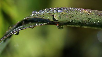 Посрещаме топла събота, но следобед - дъжд и градушки