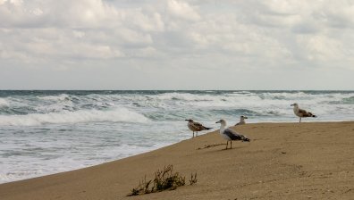 Трима удавени на българското Черноморие за два дни