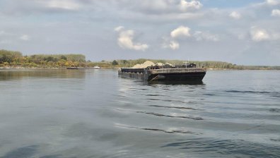 Дунав достигна нива, невиждани от години: Рибари отчитат драстичен спад на улова