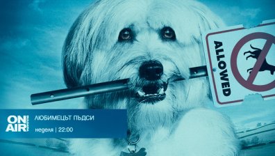 &bdquo;Любимецът Пъдси&ldquo; -&nbsp; приключенията на четириногия бездомник&nbsp;премиерно по Bulgaria ON AIR