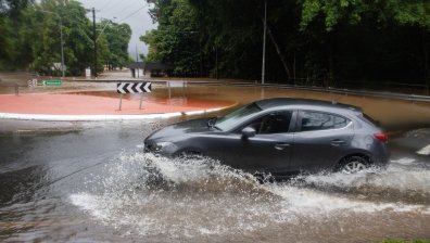 Наводнения в Австралия доведоха крокодил в градски канал