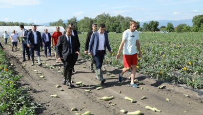 До месец държавата ще възстанови средствата на земеделските стопани в Садово
