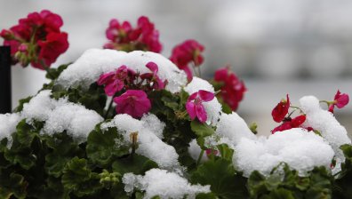 Седмична прогноза: Идва студен фронт с дъжд и сняг