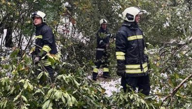 26 села четвърти ден са без ток в Трънско