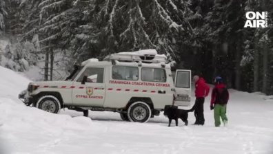 Кучетата от ПСС се нуждаят от специализиран бус, за да стигат по-бързо до бедстващите