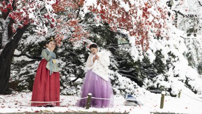 Сеул регистрира най-силния ноемврийски снеговалеж от век (СНИМКИ)