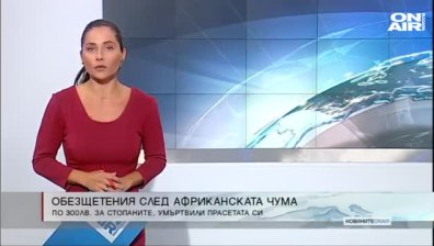 Сутрешна емисия