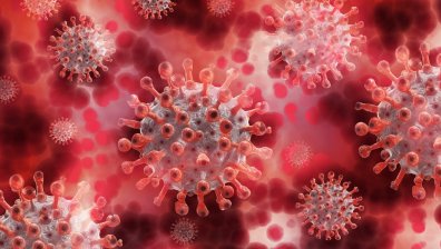 Ковид-19 за денонощието: 12 нови случаи, без постъпили в болница (ОБНОВЕНА)