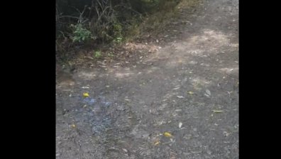 От HelpBook: Питейна вода се излива под магистрала Люлин