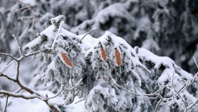 Времето през януари и кога да очакваме нови силни снеговалежи