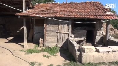 Стопаните в Пазарджишко умъртвиха доброволно всичките си прасета 