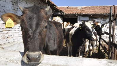 Заради войната в Украйна: ЕК одобри 86,9 млн. евро помощ за българските земеделци