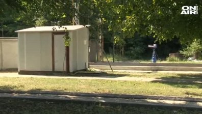 Заради чумата: Умъртвяват 17 хил. прасета в свинефермата в Русенско