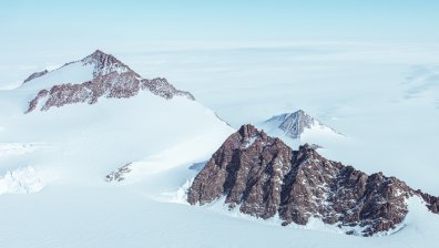 Антарктида е била обитавана от гигантски хищни птици с тегло до 100 кг