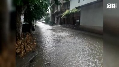 Валежи срутиха подпорна стена на булевард в Търговище