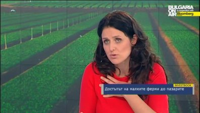 Достъпът на малките ферми до пазарите