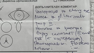 Перипетиите на едно куче: Немарлива операция, фалшива епикриза, обезобразено око