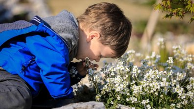 Лидери сме в ЕС по брой на отглежданите у дома деца