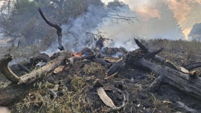 Битката с пожара в Рила продължава, въпреки дъжда