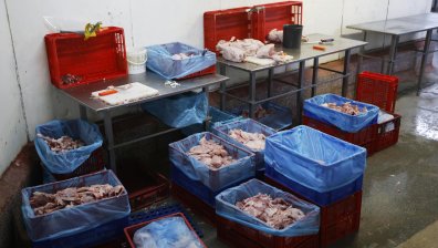 Намериха 70 тона месо с неясен произход в София (ОБНОВЕНО)