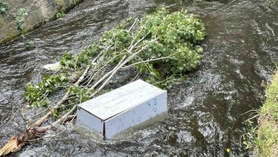 Коритото на Боянска река  е затлачено от дървета, гуми, шкафове