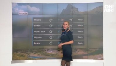 Централна прогноза