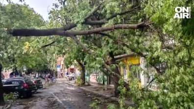 Мощна буря удари Бургаско, мъж падна от яхта в бурното море, десетки моряци са блокирани