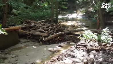 Стрелча остава без питейна вода. Бедственото положение в сила до 17 юни?