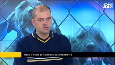 Добре ли живеят животните в зоопарка?