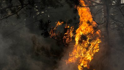 България командирова пожарникари в Северна Македония