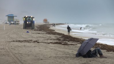 "Исаяс" прерасна в ураган, вилнее със 120 км/ч в Северна и Южна Каролина