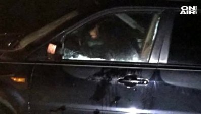 Мечка нахлу в автомобил, заключи се и наду клаксона