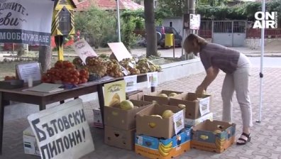 Сергия с плодове и зеленчуци на самообслужване - ето къде и как става