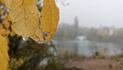 Времето в сряда: Мъгли, валежи, слана, вятър