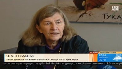 Нямаш парно, но плащаш хиляди за топло