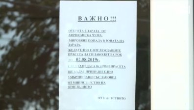 Африканската чума вече и в София-област
