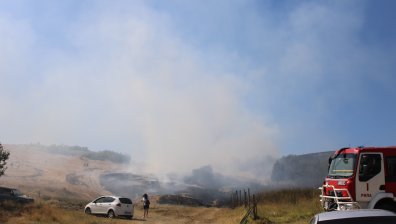 Огромен пожар близо до Пловдив изпепели вили и обхвана гора