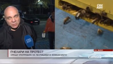 Пчелари на протест, искат спиране на употребата на пестициди