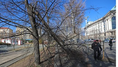 Опасно време: Жълт код за силен вятър в почти цялата страна